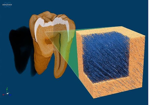 Life Science Applications | Micro Photonics