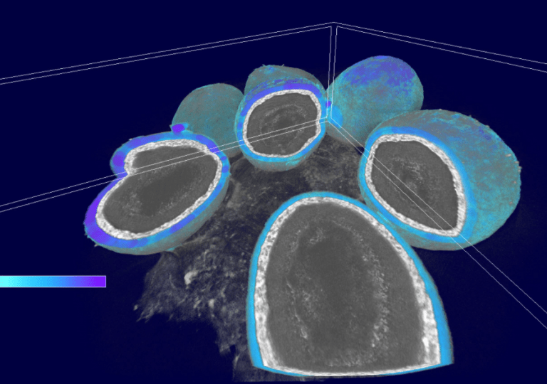 SkyScan 1272 | Micro Photonics