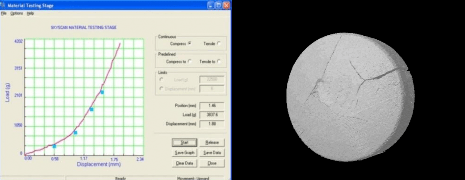 Micro-CT for Pharmaceutical Research | Micro Photonics