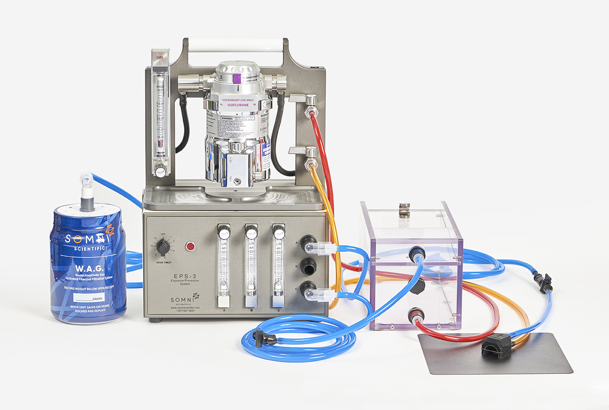 SOM_EPS_ActiveSetup_web (1)